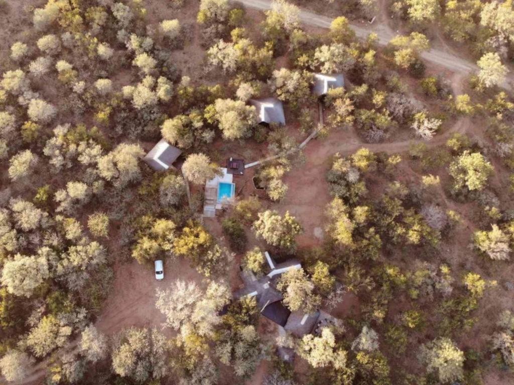 South Safari Lodge 말로스 파크 외부 사진